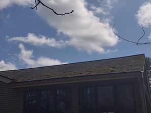 Before, During, & After Roof Cleaning in Rowler, MA (1)