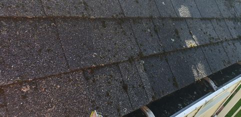 Before Roof Cleaning in Beverly, MA (2)