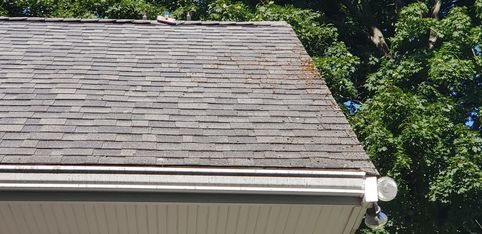 Before Roof Cleaning in Beverly, MA (3)