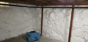 Mold Remediation in Saugus, MA after (5)
