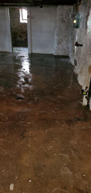 Before (Dry) & After (Wet) Odor Removal in Stoneham, MA (8)