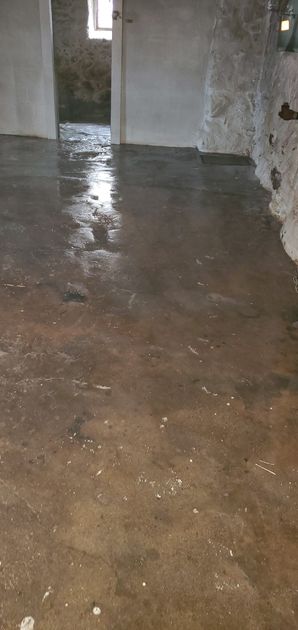 Before (Dry) & After (Wet) Odor Removal in Stoneham, MA (4)