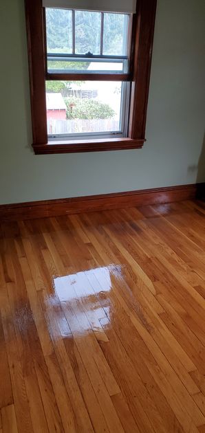 House Cleaning in Stoneham, MA after (2)