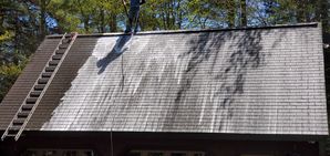 Before & After Moss & Mildew Removal & Treatment in Beverly, MA (9)