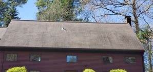 Before & After Moss & Mildew Removal & Treatment in Beverly, MA (10)