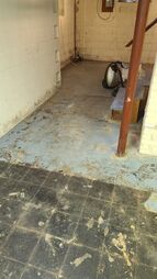 Basement Mold Removal Before in Lynnfield, MA (8)