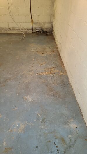 Basement Mold Removal Before in Lynnfield, MA (5)