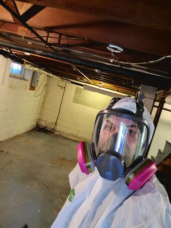 Basement Mold Removal Before in Lynnfield, MA (1)