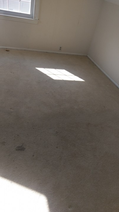 Carpet Cleaning Residential Cleaning