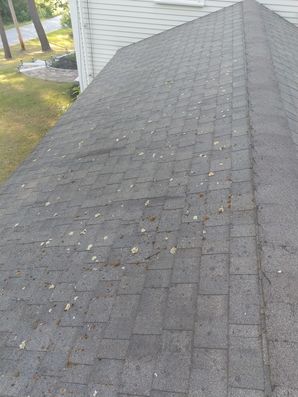 Before & After Roof Cleaning in Beverly, MA (1)