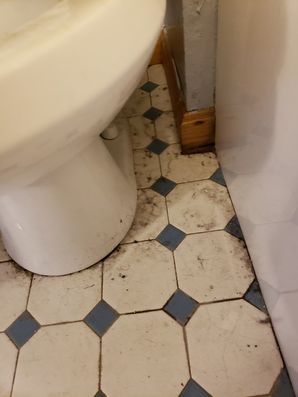 Before & After House Cleaning in Salem, MA (4)