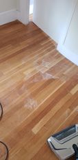 Move In Cleaning in Peabody, MA before (1)