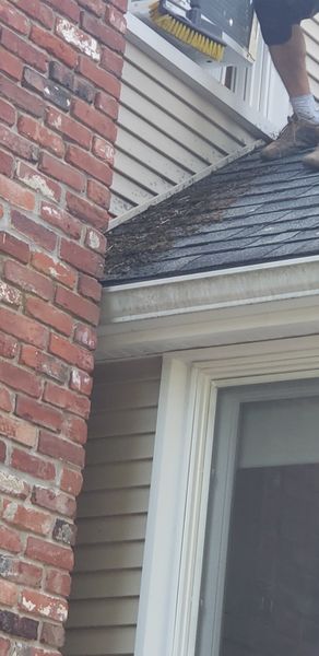 Before Roof Cleaning in Beverly, MA (5)