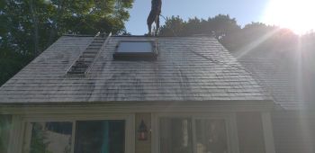 Roof cleaning in Westwood by Viviane's Cleaning & Restoration Inc