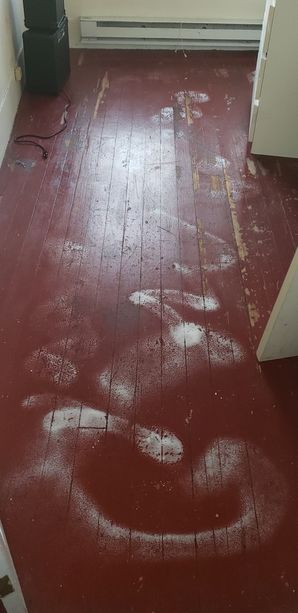 Apartment Cleaning in Boston, MA  before (7)