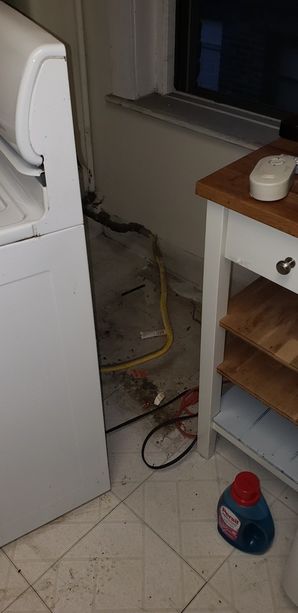 Apartment Cleaning in Boston, MA (2)