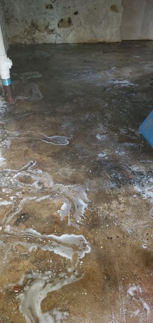 Before (Dry) & After (Wet) Odor Removal in Stoneham, MA (1)
