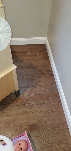 Deep Cleaning in Burlington, MA (before) (4)