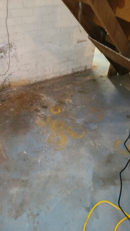 Basement Mold Removal Before in Lynnfield, MA (2)
