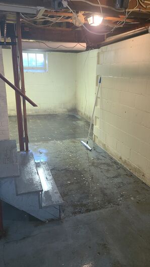 Mold Removal & Killing Before in Lynnfield, MA (1)
