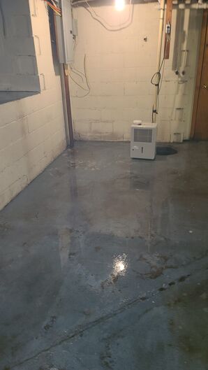 Mold Removal & Killing Before in Lynnfield, MA (3)