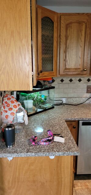 Before & After Kitchen Cleaning in Andover, MA (3)