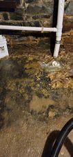 Before & After Sewage Cleanup in Cambridge, MA (6)