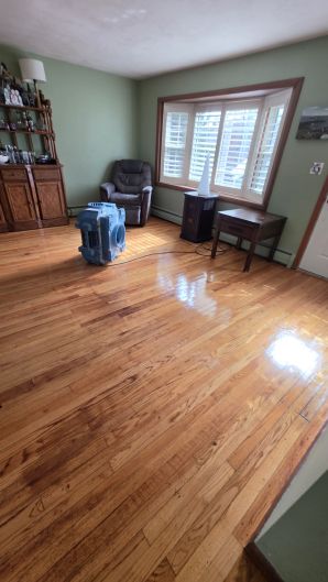 Deep Cleaning in Boston, MA (2)
