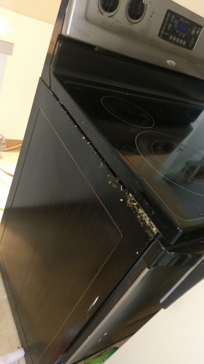 Stove Cleaning Kitchen Cleaning Residential Cleaning