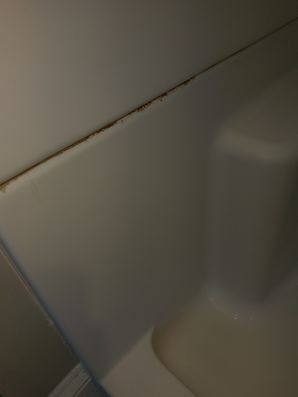 BEFORE Apartment Cleaning in Danvers, MA (1)