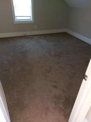 BEFORE Apartment Cleaning in Danvers, MA (7)