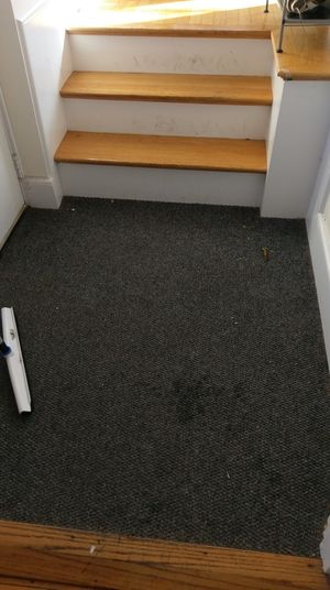 Before & After Deep Cleaning in Winchester, MA (5)