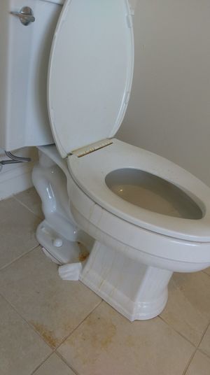 Before & After Deep Cleaning in Winchester, MA (3)