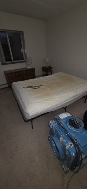 Hoarding Clean-up in Wakefield, MA (before) (2)
