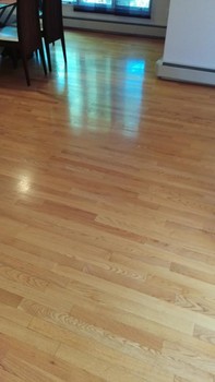 House Cleaning in Lynnfield, MA