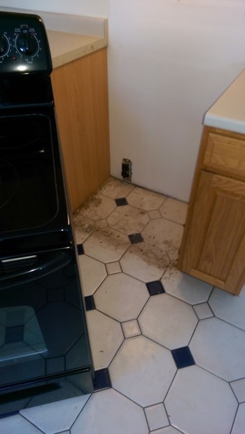 Before and After Apartment Cleaning in Medford, MA